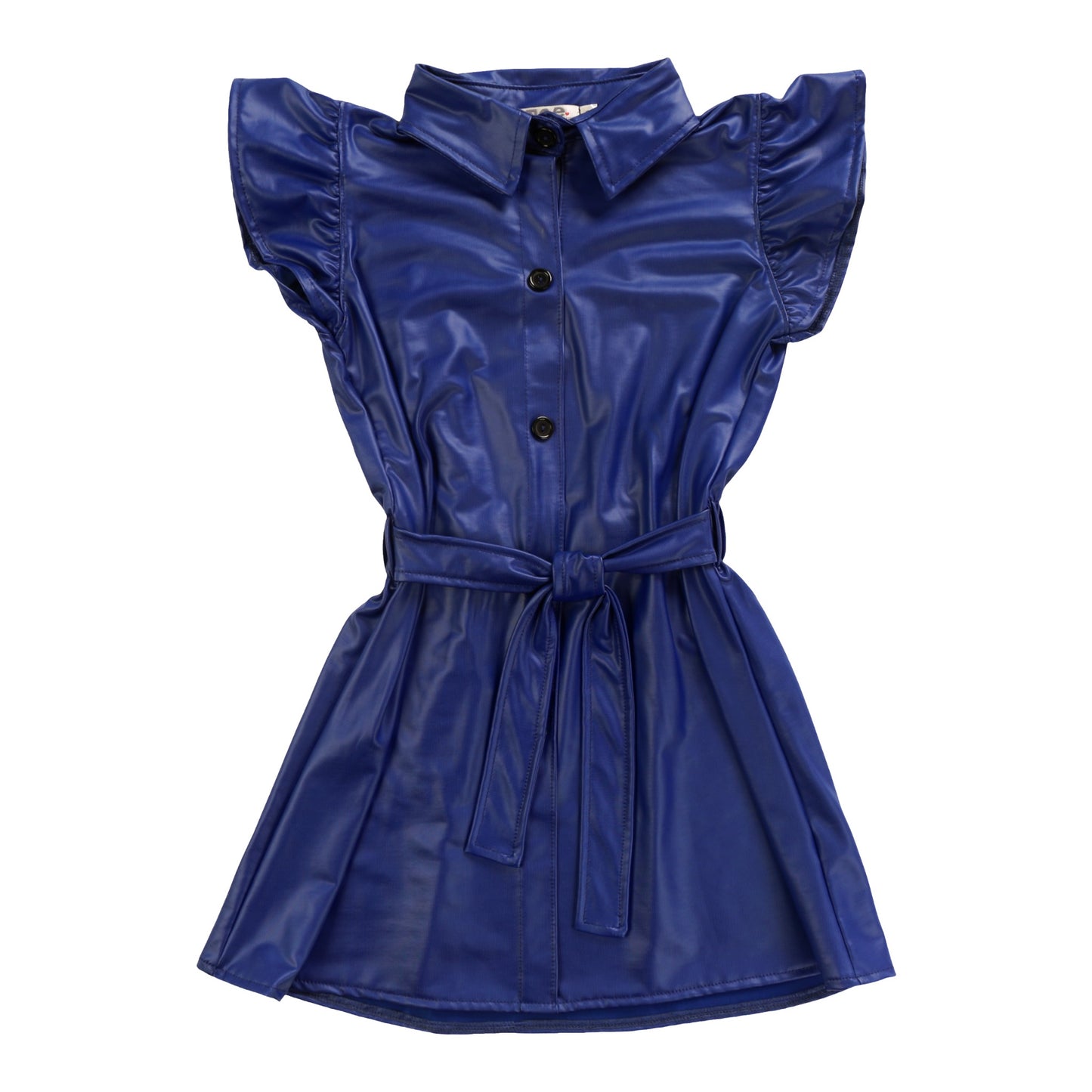 Collared Button-Front Dress