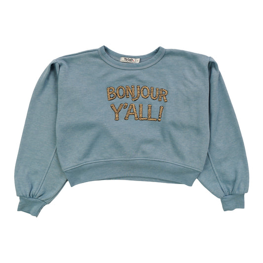 Seamed-Sleeve Pullover Crew ("BONJOUR Y'ALL!")
